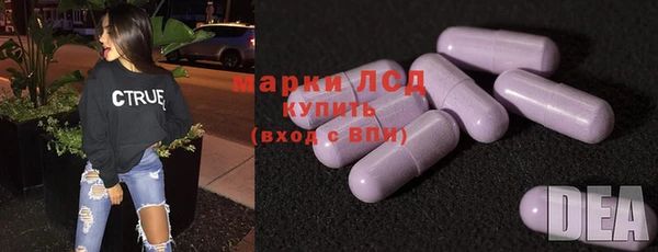 ECSTASY Бородино